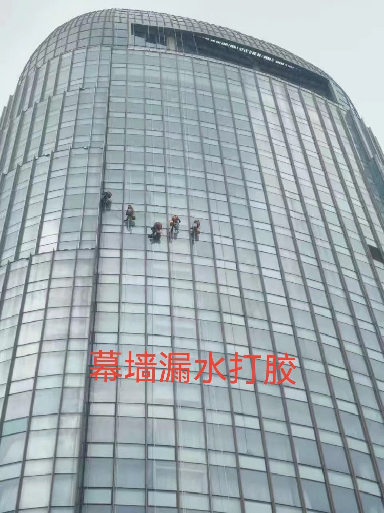 幕墙玻璃打胶施工案例